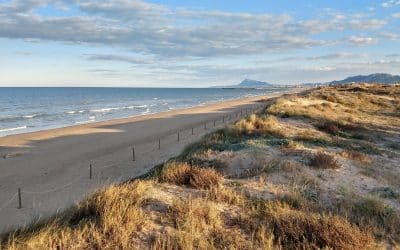 Ocho ventajas de la Playa de Oliva