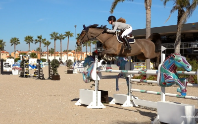 Spring MET 2021 inicio del concurso