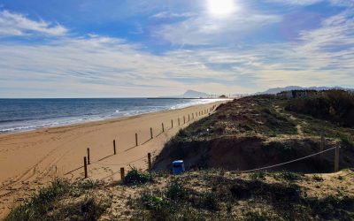 Disfrutar de la playa de Oliva en Apartamentos Albornés