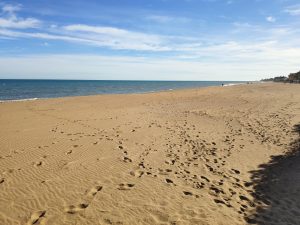 Vivir en la mejor playa La playa de Las Marinas en Denia